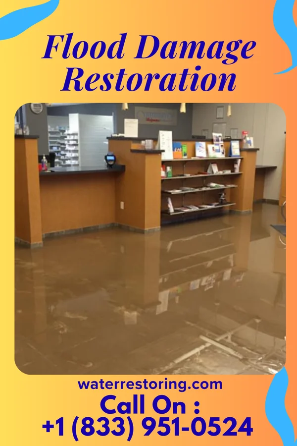Flood Damage Restoration in Sheldon, TX