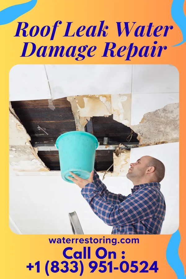 Roof Leak Water Damage Repair in Sheldon, TX