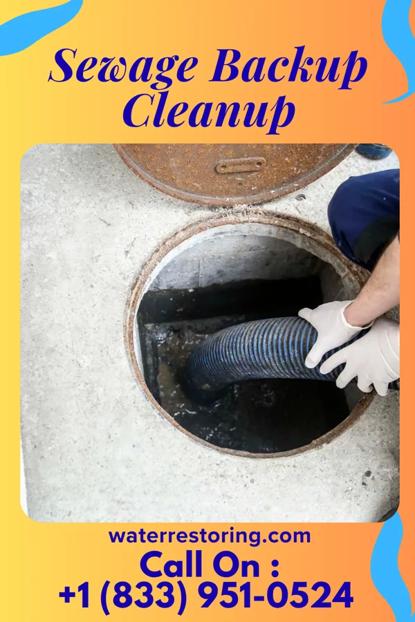 Sewage Backup Cleanup in Sheldon, TX